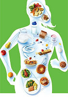 La nutrition: Quel est le régime alimentaire idéal?