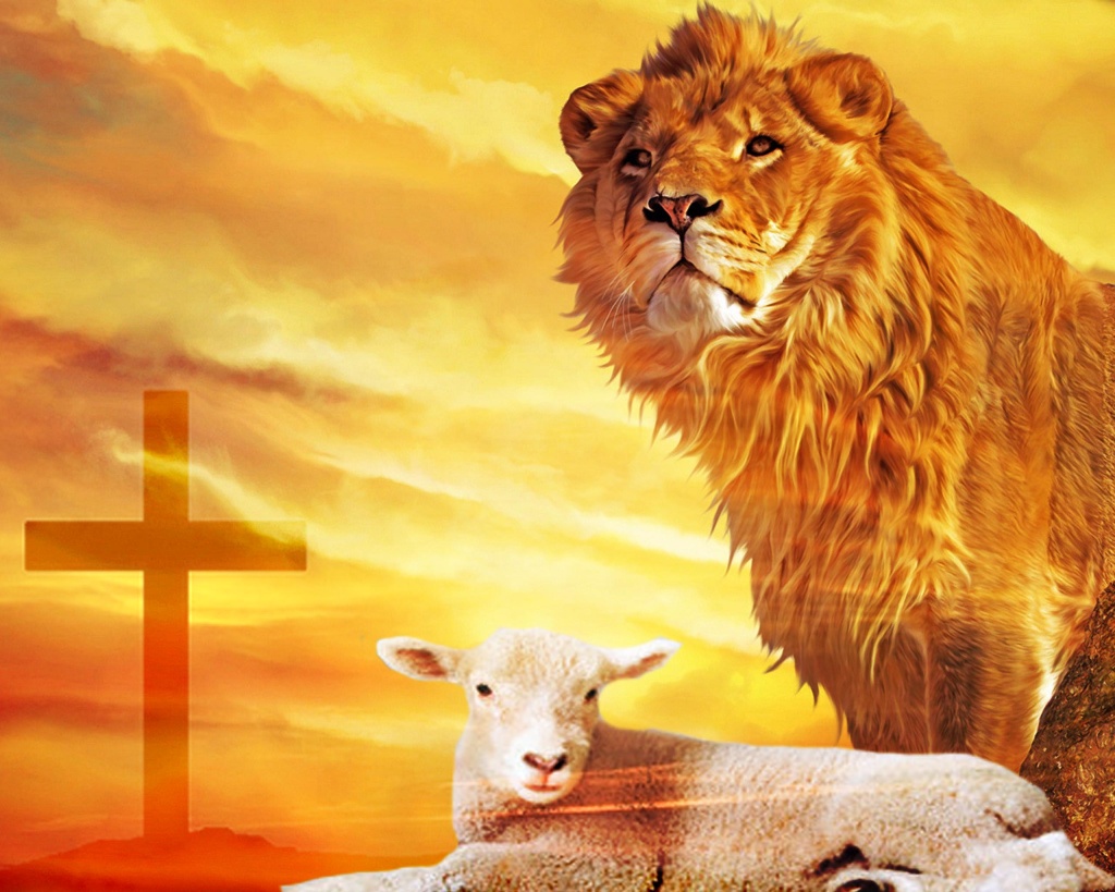 Holy is the Lamb