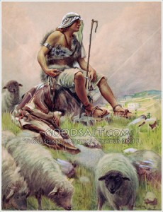 david-the-shepherd-5-GoodSalt-prcas0816[1]