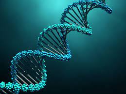 L’origine de l’ADN défie les chercheurs
