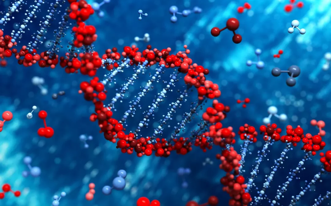 Le Miracle de l’ADN, Schéma Divin de la Vie
