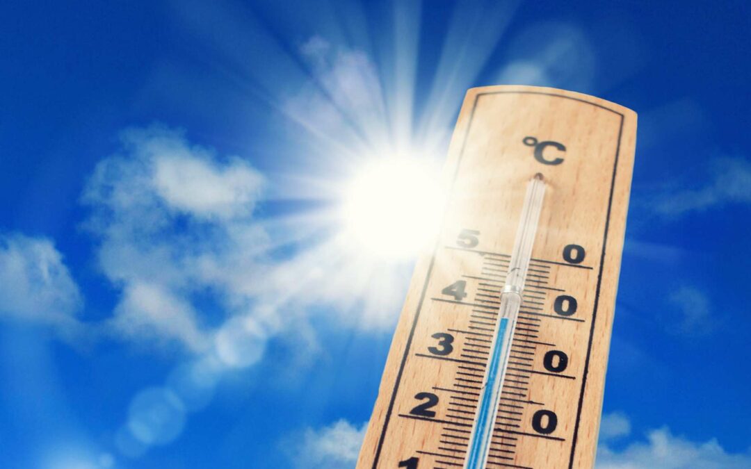 La première semaine de juillet 2023 a été la plus chaude jamais mesurée dans le monde, rapporte l’ONU